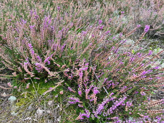 23-09-18 13-34-52 7044